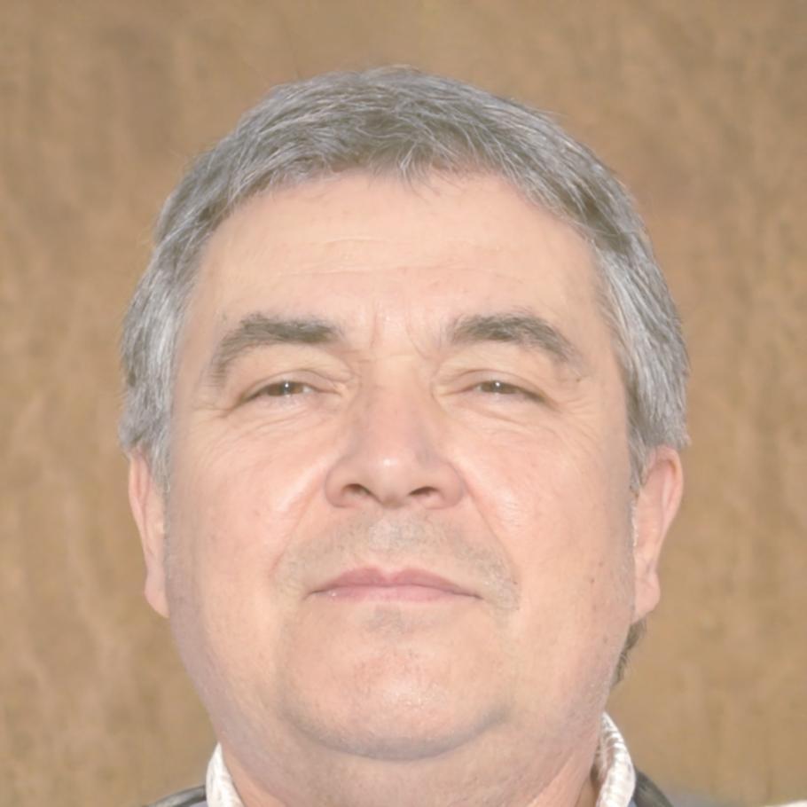 Martin Petrov financial modeling expert